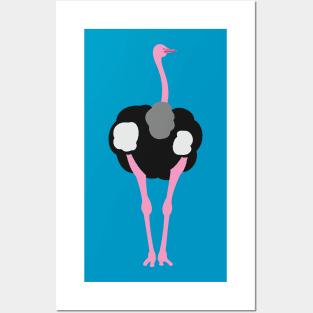 Ostrich Bird Posters and Art